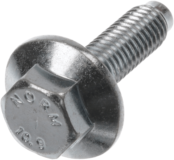 00171270 Šroub Bosch | Siemens